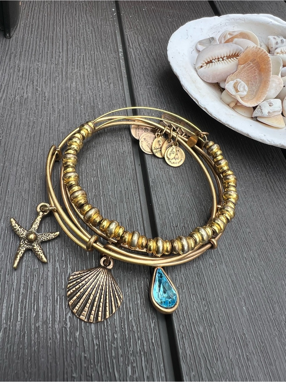 Gold-Tone Shell & Blue Teardrop Charm Bracelet Set